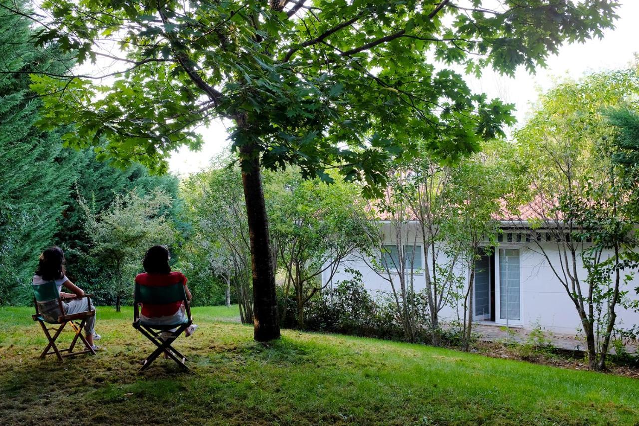 Casa Do Galo / Galo House Villa Vimioso Ngoại thất bức ảnh